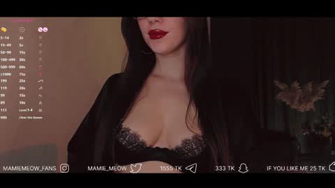 Snapshot of mamiemeow chatting on January 22, 2025, 3:40 pm Your Miss Alice online show from January 22, 2025, 3:40 pm