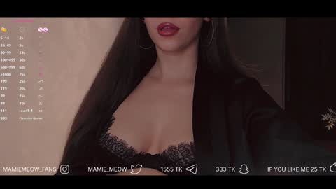 Snapshot of mamiemeow chatting on February 5, 2025, 2:48 pm Your Miss Alice online show from February 5, 2025, 2:48 pm