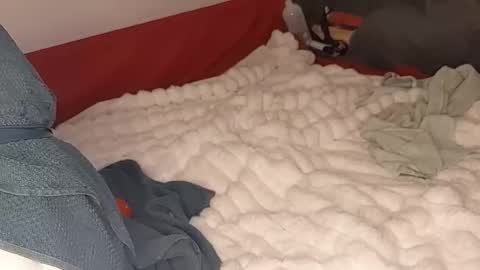 Snapshot of maybeanal chatting on October 12, 2025, 5:06 am maybeanal online show from October 12, 2025, 5:06 am