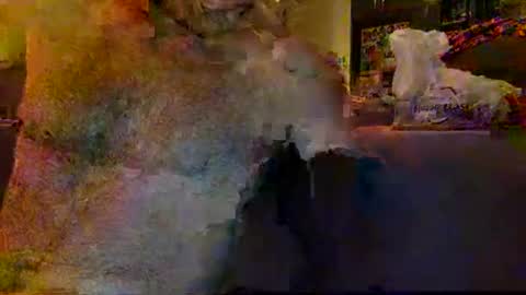 Snapshot of mazl0w chatting on December 31, 2024, 12:04 pm mazl0w online show from December 31, 2024, 12:04 pm