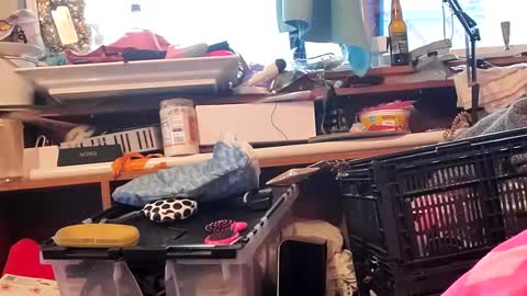 Snapshot of merelyalover chatting on January 6, 2025, 11:42 pm gurlnips online show from January 6, 2025, 11:42 pm