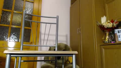 Snapshot of milk_and_hon3y chatting on December 4, 2024, 6:11 am Im  to see you here Pvts are open  I love patterns soo much online show from December 4, 2024, 6:11 am