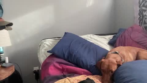 Snapshot of mntuila chatting on February 2, 2025, 3:39 pm MNTuiLa online show from February 2, 2025, 3:39 pm