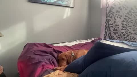 Snapshot of mntuila chatting on February 17, 2025, 3:31 pm MNTuiLa online show from February 17, 2025, 3:31 pm