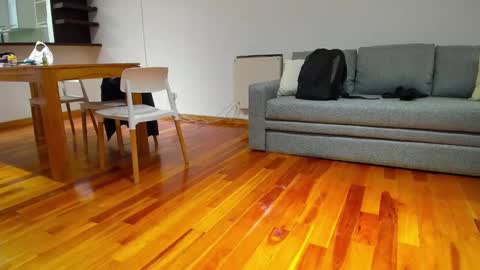 Snapshot of monikfree chatting on December 5, 2024, 4:23 pm Monikfree online show from December 5, 2024, 4:23 pm