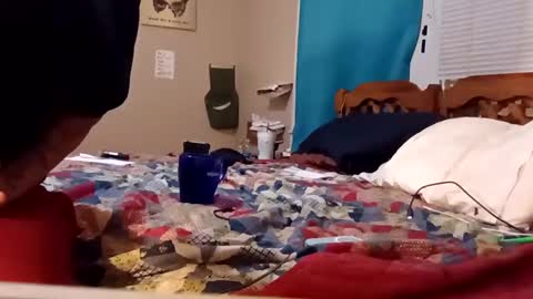 Snapshot of mottsmuff chatting on February 4, 2025, 8:24 am B online show from February 4, 2025, 8:24 am