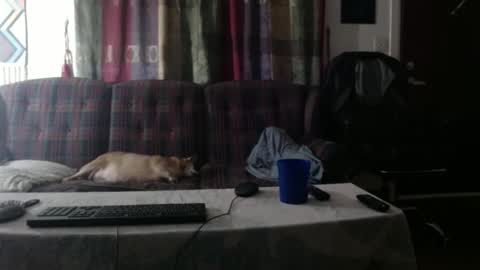 Snapshot of mr_happy12 chatting on September 23, 2025, 1:19 am mr_happy12 online show from September 23, 2025, 1:19 am