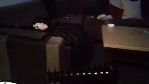 Snapshot of mrhandsomelovee chatting on January 5, 2025, 1:03 am Nikola online show from January 5, 2025, 1:03 am