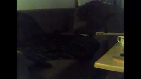 Snapshot of mrhandsomelovee chatting on January 12, 2025, 12:01 pm Nikola online show from January 12, 2025, 12:01 pm