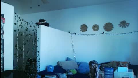 Snapshot of mycock4u247 chatting on March 2, 2025, 9:43 pm LA MARIPOSA DE MARICOPA online show from March 2, 2025, 9:43 pm