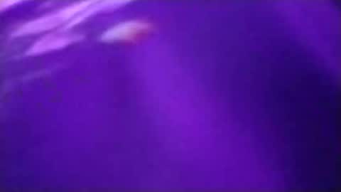 Snapshot of n298033 chatting on September 23, 2025, 5:05 pm n298033 online show from September 23, 2025, 5:05 pm