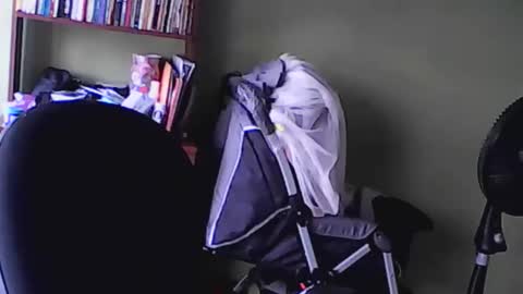 nana_666_ online show from November 17, 2025, 9:20 pm