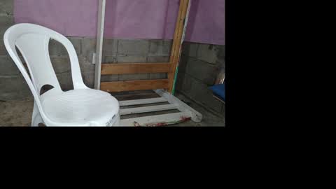 bellas2012 online show from January 19, 2025, 5:39 pm