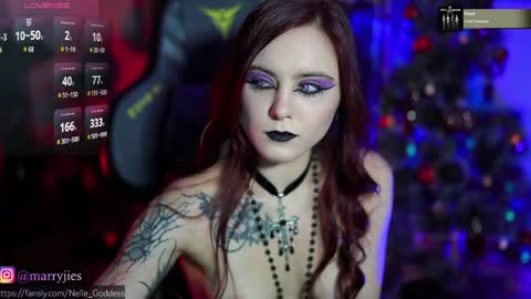 Snapshot of nelle_ chatting on December 29, 2024, 10:23 am    online show from December 29, 2024, 10:23 am