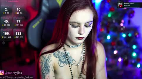 Snapshot of nelle_ chatting on December 30, 2024, 1:14 pm    online show from December 30, 2024, 1:14 pm