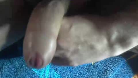 Snapshot of ni983 chatting on December 19, 2024, 3:08 pm ni983 online show from December 19, 2024, 3:08 pm