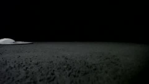 Snapshot of nikkkibabyyyy chatting on January 24, 2025, 9:49 am Niquita Sparkles online show from January 24, 2025, 9:49 am