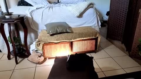 Snapshot of nobudget06 chatting on February 16, 2025, 4:42 pm nobudget06 online show from February 16, 2025, 4:42 pm