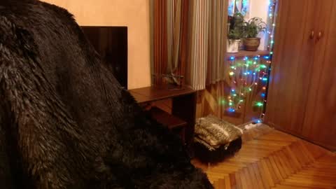 Snapshot of norma_gin chatting on December 28, 2024, 9:19 pm miss Tress online show from December 28, 2024, 9:19 pm