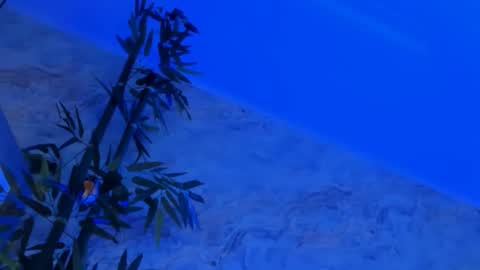 Snapshot of nyssawoodd chatting on October 2, 2025, 2:46 pm nyssawoodd online show from October 2, 2025, 2:46 pm