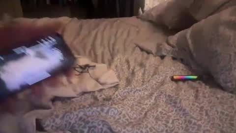 Snapshot of obiwand653040 chatting on November 4, 2025, 5:28 am obiwand653040 online show from November 4, 2025, 5:28 am