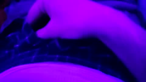 Snapshot of octorok1 chatting on January 1, 2025, 2:30 am octorok1 online show from January 1, 2025, 2:30 am