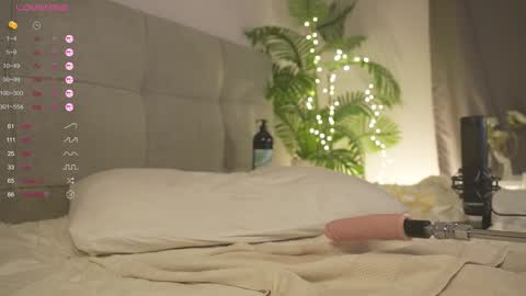 Snapshot of olsenspring chatting on February 4, 2025, 7:00 pm Lily dont forget to follow me  good to see you all online show from February 4, 2025, 7:00 pm