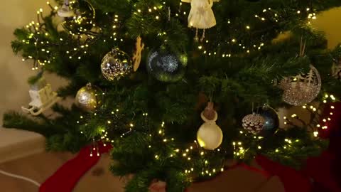 Snapshot of omiliver chatting on December 3, 2024, 9:56 pm or online show from December 3, 2024, 9:56 pm