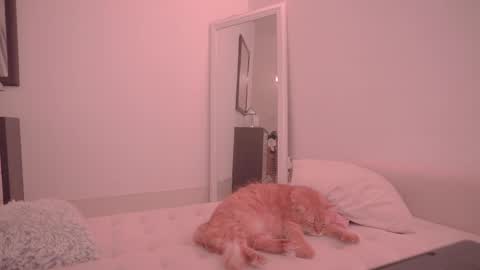 Snapshot of onelittlemermaid chatting on October 18, 2025, 9:26 pm Ariel online show from October 18, 2025, 9:26 pm