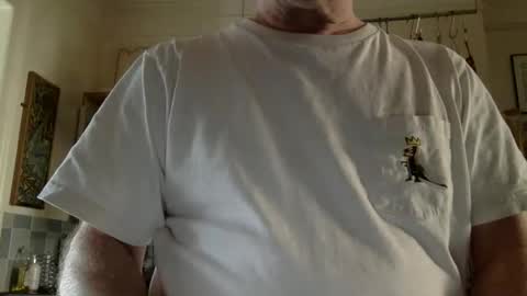 Snapshot of ottodick chatting on December 3, 2024, 11:33 am Otto online show from December 3, 2024, 11:33 am