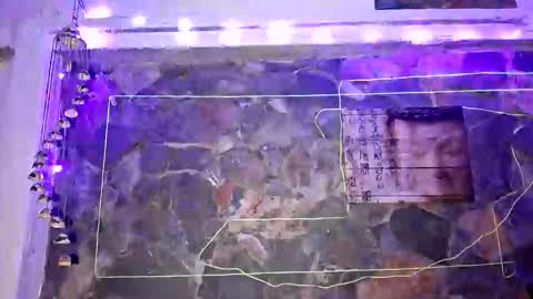 Snapshot of pablouyu chatting on January 1, 2025, 4:18 am pablouyu online show from January 1, 2025, 4:18 am