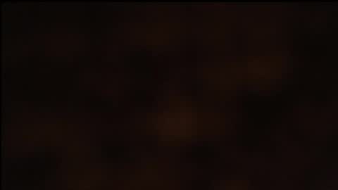 Snapshot of paiper_halliwey_ chatting on January 26, 2025, 10:23 am paiper online show from January 26, 2025, 10:23 am