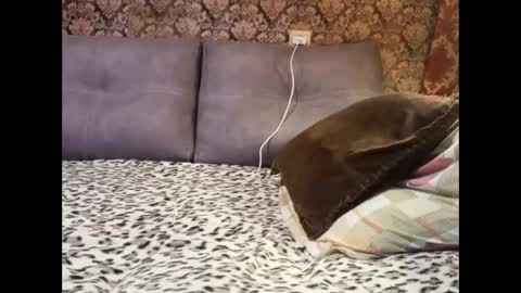 Snapshot of pancamo1000 chatting on January 5, 2025, 6:45 pm Pancamo online show from January 5, 2025, 6:45 pm