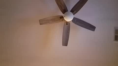 Snapshot of patrick247288 chatting on March 2, 2025, 8:48 am patrick247288 online show from March 2, 2025, 8:48 am