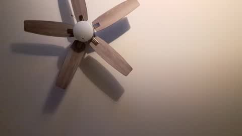 Snapshot of patrick247288 chatting on September 9, 2025, 4:34 am patrick247288 online show from September 9, 2025, 4:34 am