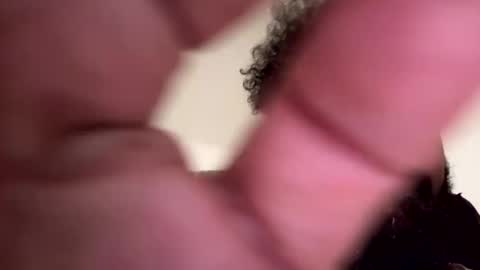 phaze57 online show from September 25, 2025, 4:38 am