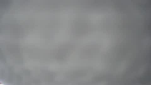 Snapshot of pichard18 chatting on December 13, 2024, 5:16 am pichard18 online show from December 13, 2024, 5:16 am