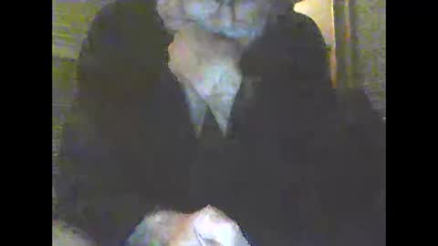 Snapshot of pigbear4trans chatting on December 31, 2024, 10:15 am pigbear4trans online show from December 31, 2024, 10:15 am