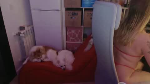 Snapshot of pinkladyx2 chatting on February 21, 2025, 6:48 pm pinkladyx2 online show from February 21, 2025, 6:48 pm