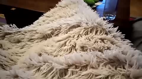 Snapshot of pitoenmano_ chatting on February 9, 2025, 6:33 am Antn online show from February 9, 2025, 6:33 am