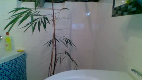 Snapshot of piwo58 chatting on March 6, 2025, 6:37 pm piwo58 online show from March 6, 2025, 6:37 pm