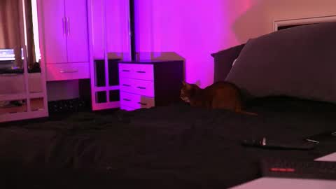 Snapshot of polusladkoye chatting on September 17, 2025, 1:02 pm Megan.online  online show from September 17, 2025, 1:02 pm