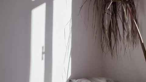 Snapshot of polynessia chatting on October 17, 2025, 6:27 am Polina online show from October 17, 2025, 6:27 am