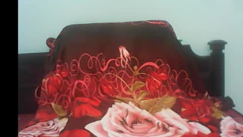 Snapshot of pornojedigoa chatting on January 4, 2025, 4:44 am Koko Lar online show from January 4, 2025, 4:44 am