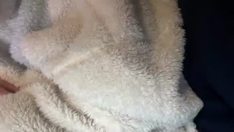 Snapshot of prelako chatting on October 26, 2025, 12:00 pm Prelako online show from October 26, 2025, 12:00 pm