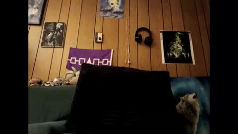 Snapshot of prettysolid7 chatting on October 15, 2025, 7:19 am prettysolid7 online show from October 15, 2025, 7:19 am