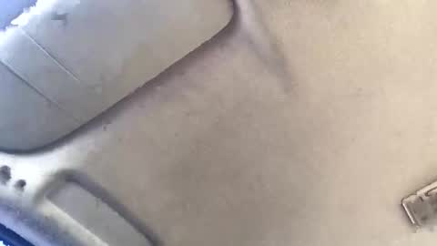 Brissycouple269 online show from November 20, 2025, 11:37 pm