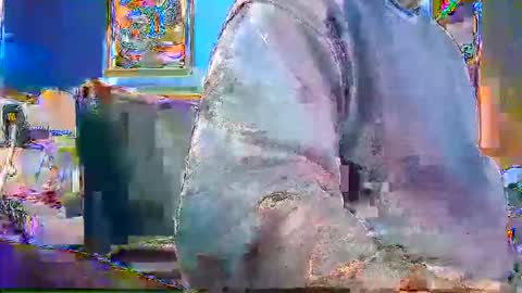 Snapshot of rb69er905364 chatting on December 28, 2024, 4:52 pm rb69er905364 online show from December 28, 2024, 4:52 pm