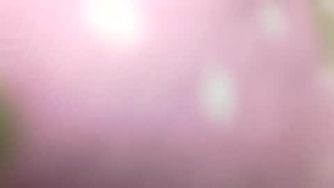 Snapshot of rhymes2479 chatting on January 1, 2025, 10:56 pm Shaved cock ready online show from January 1, 2025, 10:56 pm