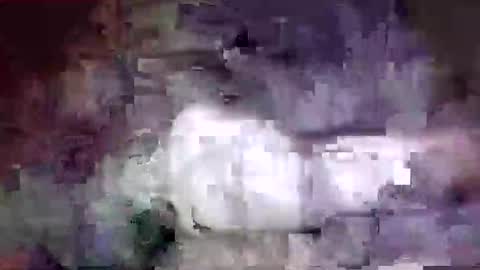 Snapshot of richard11268869 chatting on December 24, 2024, 10:06 pm richard11268869 online show from December 24, 2024, 10:06 pm